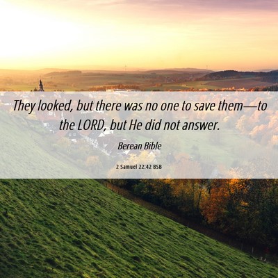 Picture 06 - 2 Samuel 22:42 BSB - They looked, but there was no one to save - Bible Verse Picture