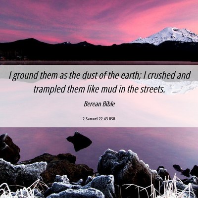 Picture 06 - 2 Samuel 22:43 BSB - I ground them as the dust of the earth; I crushed - Bible Verse Picture
