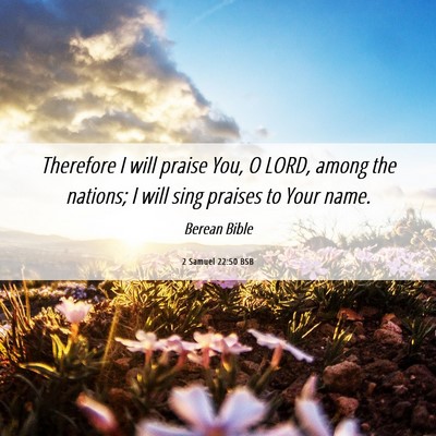 Picture 06 - 2 Samuel 22:50 BSB - Therefore I will praise You, O LORD, among the - Bible Verse Picture