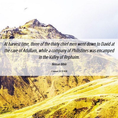 Picture 06 - 2 Samuel 23:13 BSB - At harvest time, three of the thirty chief men - Bible Verse Picture