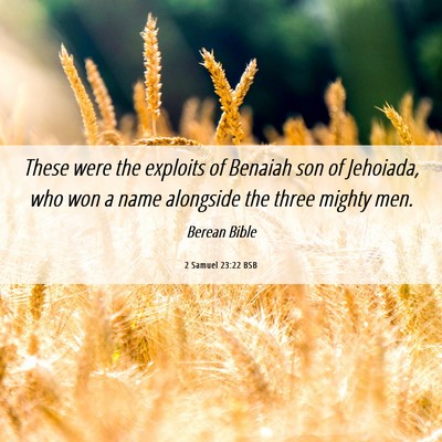 Picture 06 - 2 Samuel 23:22 BSB - These were the exploits of Benaiah son of - Bible Verse Picture