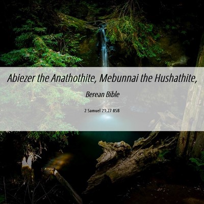 Picture 06 - 2 Samuel 23:27 BSB - Abiezer the Anathothite, Mebunnai the - Bible Verse Picture