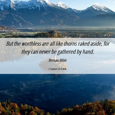 Picture 06 - 2 Samuel 23:6 BSB - But the worthless are all like thorns raked - Bible Verse Picture