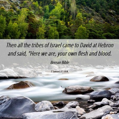 Picture 06 - 2 Samuel 5:1 BSB - Then all the tribes of Israel came to David at - Bible Verse Picture