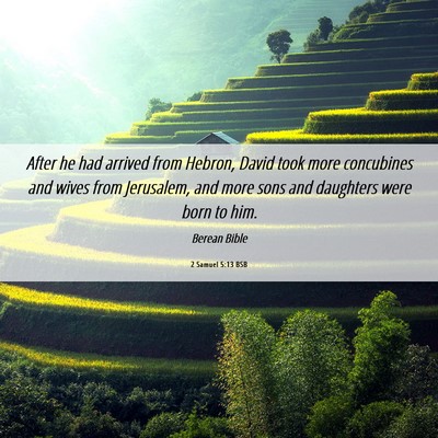 Picture 06 - 2 Samuel 5:13 BSB - After he had arrived from Hebron, David took more - Bible Verse Picture
