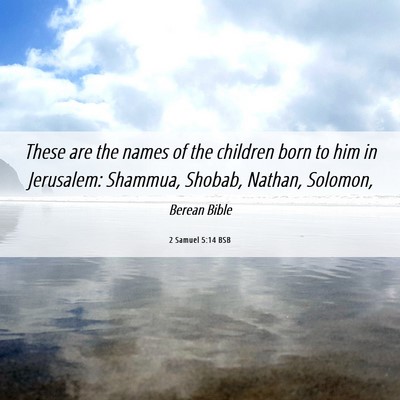 Picture 06 - 2 Samuel 5:14 BSB - These are the names of the children born to him - Bible Verse Picture