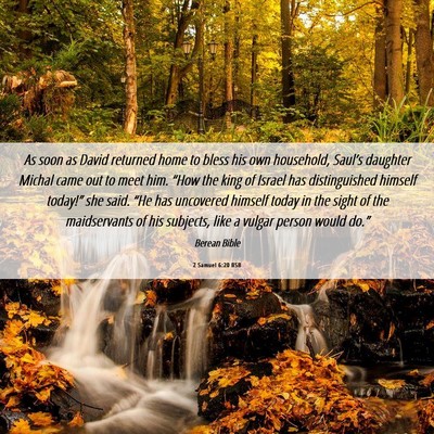 Picture 06 - 2 Samuel 6:20 BSB - As soon as David returned home to bless his own - Bible Verse Picture