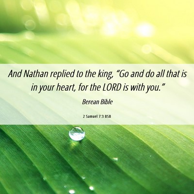 Picture 06 - 2 Samuel 7:3 BSB - And Nathan replied to the king, “Go and do all - Bible Verse Picture