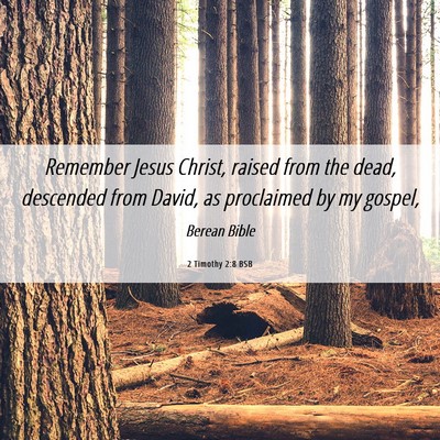 Picture 06 - 2 Timothy 2:8 BSB - Remember Jesus Christ, raised from the dead, - Bible Verse Picture