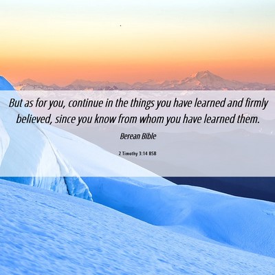 Picture 06 - 2 Timothy 3:14 BSB - But as for you, continue in the things you have - Bible Verse Picture