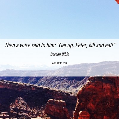 Picture 06 - Acts 10:13 BSB - Then a voice said to him: “Get up, Peter, kill - Bible Verse Picture
