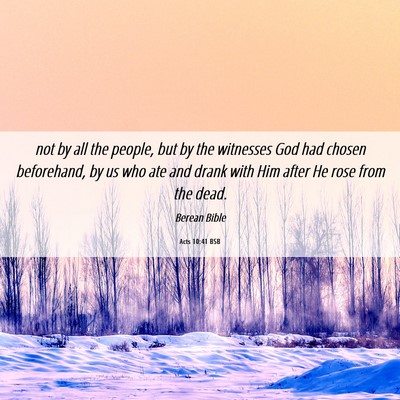 Picture 06 - Acts 10:41 BSB - not by all the people, but by the witnesses God - Bible Verse Picture