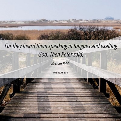 Picture 06 - Acts 10:46 BSB - For they heard them speaking in tongues and - Bible Verse Picture