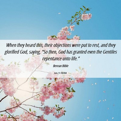 Picture 06 - Acts 11:18 BSB - When they heard this, their objections were put - Bible Verse Picture