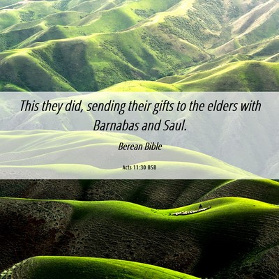 Picture 06 - Acts 11:30 BSB - This they did, sending their gifts to the elders - Bible Verse Picture