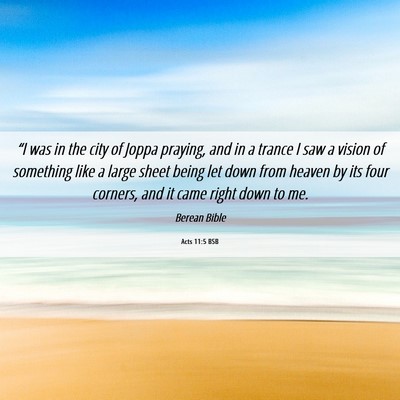 Picture 06 - Acts 11:5 BSB - “I was in the city of Joppa praying, and in a - Bible Verse Picture