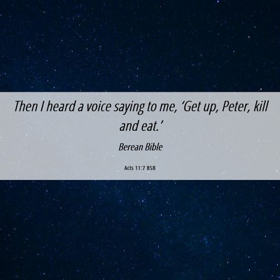 Picture 06 - Acts 11:7 BSB - Then I heard a voice saying to me, ‘Get up, - Bible Verse Picture