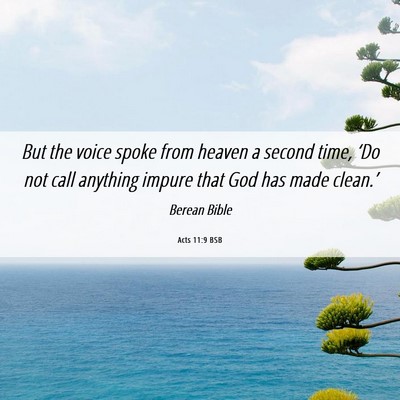 Picture 06 - Acts 11:9 BSB - But the voice spoke from heaven a second time, - Bible Verse Picture