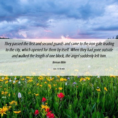 Picture 06 - Acts 12:10 BSB - They passed the first and second guards and came - Bible Verse Picture
