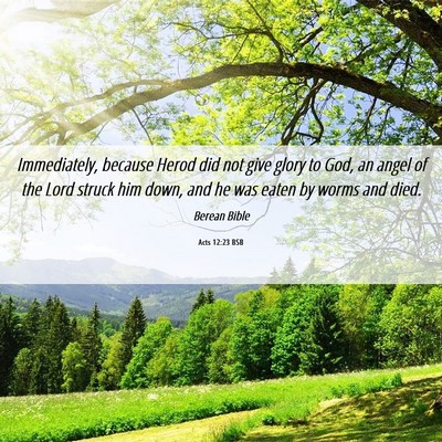 Picture 06 - Acts 12:23 BSB - Immediately, because Herod did not give glory to - Bible Verse Picture