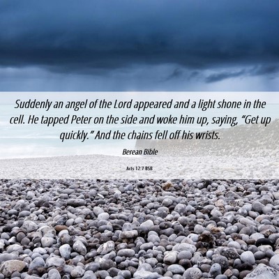 Picture 06 - Acts 12:7 BSB - Suddenly an angel of the Lord appeared and a - Bible Verse Picture