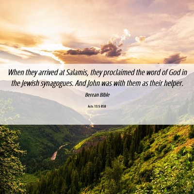 Picture 06 - Acts 13:5 BSB - When they arrived at Salamis, they proclaimed the - Bible Verse Picture