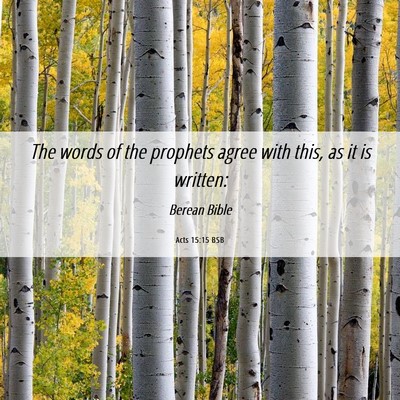 Picture 06 - Acts 15:15 BSB - The words of the prophets agree with this, as it - Bible Verse Picture
