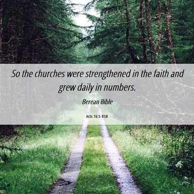 Picture 06 - Acts 16:5 BSB - So the churches were strengthened in the faith - Bible Verse Picture