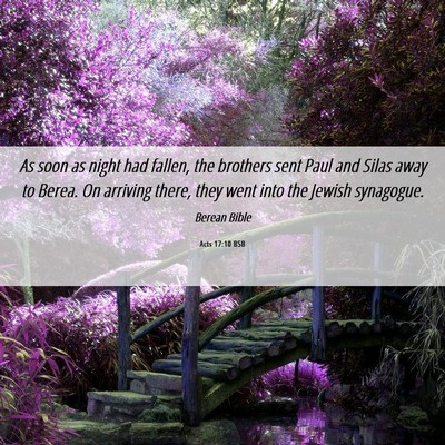Picture 06 - Acts 17:10 BSB - As soon as night had fallen, the brothers sent - Bible Verse Picture