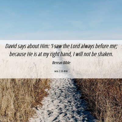 Picture 06 - Acts 2:25 BSB - David says about Him: ‘I saw the Lord always - Bible Verse Picture
