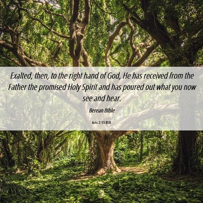 Picture 06 - Acts 2:33 BSB - Exalted, then, to the right hand of God, He has - Bible Verse Picture