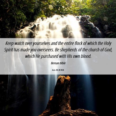 Picture 06 - Acts 20:28 BSB - Keep watch over yourselves and the entire flock - Bible Verse Picture