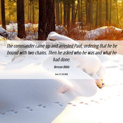 Picture 06 - Acts 21:33 BSB - The commander came up and arrested Paul, ordering - Bible Verse Picture