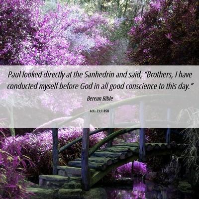 Picture 06 - Acts 23:1 BSB - Paul looked directly at the Sanhedrin and said, - Bible Verse Picture