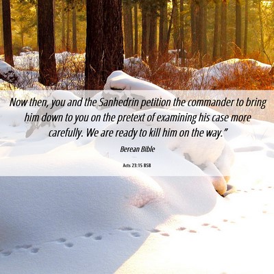Picture 06 - Acts 23:15 BSB - Now then, you and the Sanhedrin petition the - Bible Verse Picture