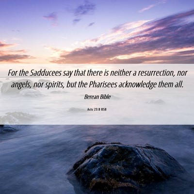Picture 06 - Acts 23:8 BSB - For the Sadducees say that there is neither a - Bible Verse Picture