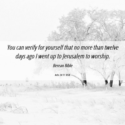 Picture 06 - Acts 24:11 BSB - You can verify for yourself that no more than - Bible Verse Picture
