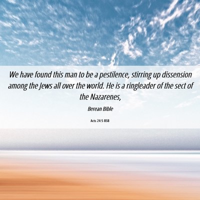 Picture 06 - Acts 24:5 BSB - We have found this man to be a pestilence, - Bible Verse Picture