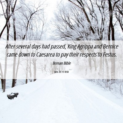 Picture 06 - Acts 25:13 BSB - After several days had passed, King Agrippa and - Bible Verse Picture