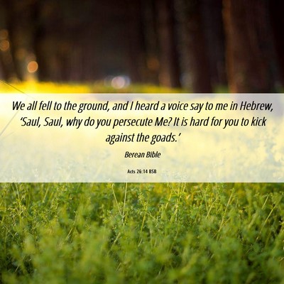 Picture 06 - Acts 26:14 BSB - We all fell to the ground, and I heard a voice - Bible Verse Picture