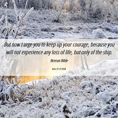Picture 06 - Acts 27:22 BSB - But now I urge you to keep up your courage, - Bible Verse Picture