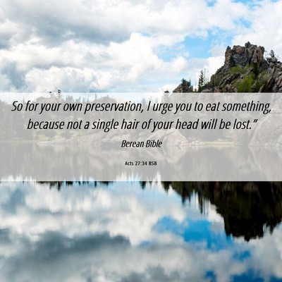 Picture 06 - Acts 27:34 BSB - So for your own preservation, I urge you to eat - Bible Verse Picture