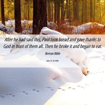 Picture 06 - Acts 27:35 BSB - After he had said this, Paul took bread and gave - Bible Verse Picture