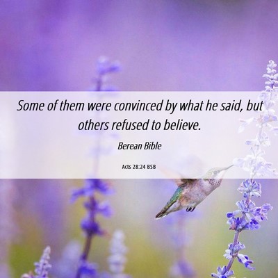 Picture 06 - Acts 28:24 BSB - Some of them were convinced by what he said, but - Bible Verse Picture