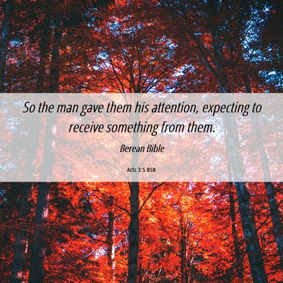 Picture 06 - Acts 3:5 BSB - So the man gave them his attention, expecting to - Bible Verse Picture