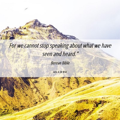 Picture 06 - Acts 4:20 BSB - For we cannot stop speaking about what we have - Bible Verse Picture
