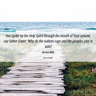 Picture 06 - Acts 4:25 BSB - You spoke by the Holy Spirit through the mouth of - Bible Verse Picture
