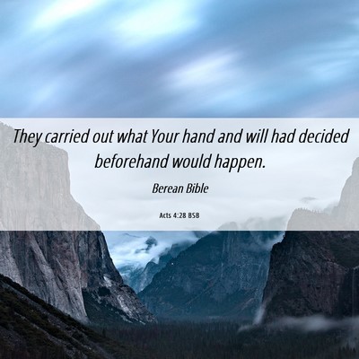 Picture 06 - Acts 4:28 BSB - They carried out what Your hand and will had - Bible Verse Picture