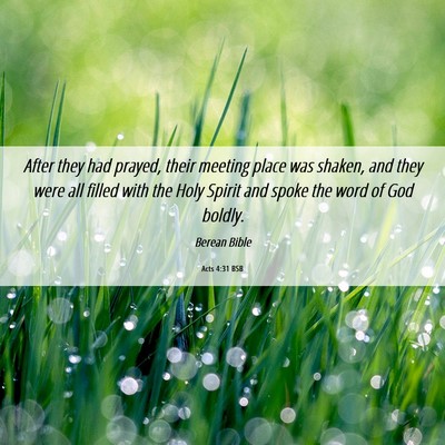 Picture 06 - Acts 4:31 BSB - After they had prayed, their meeting place was - Bible Verse Picture