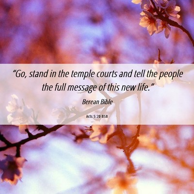Picture 06 - Acts 5:20 BSB - “Go, stand in the temple courts and tell the - Bible Verse Picture